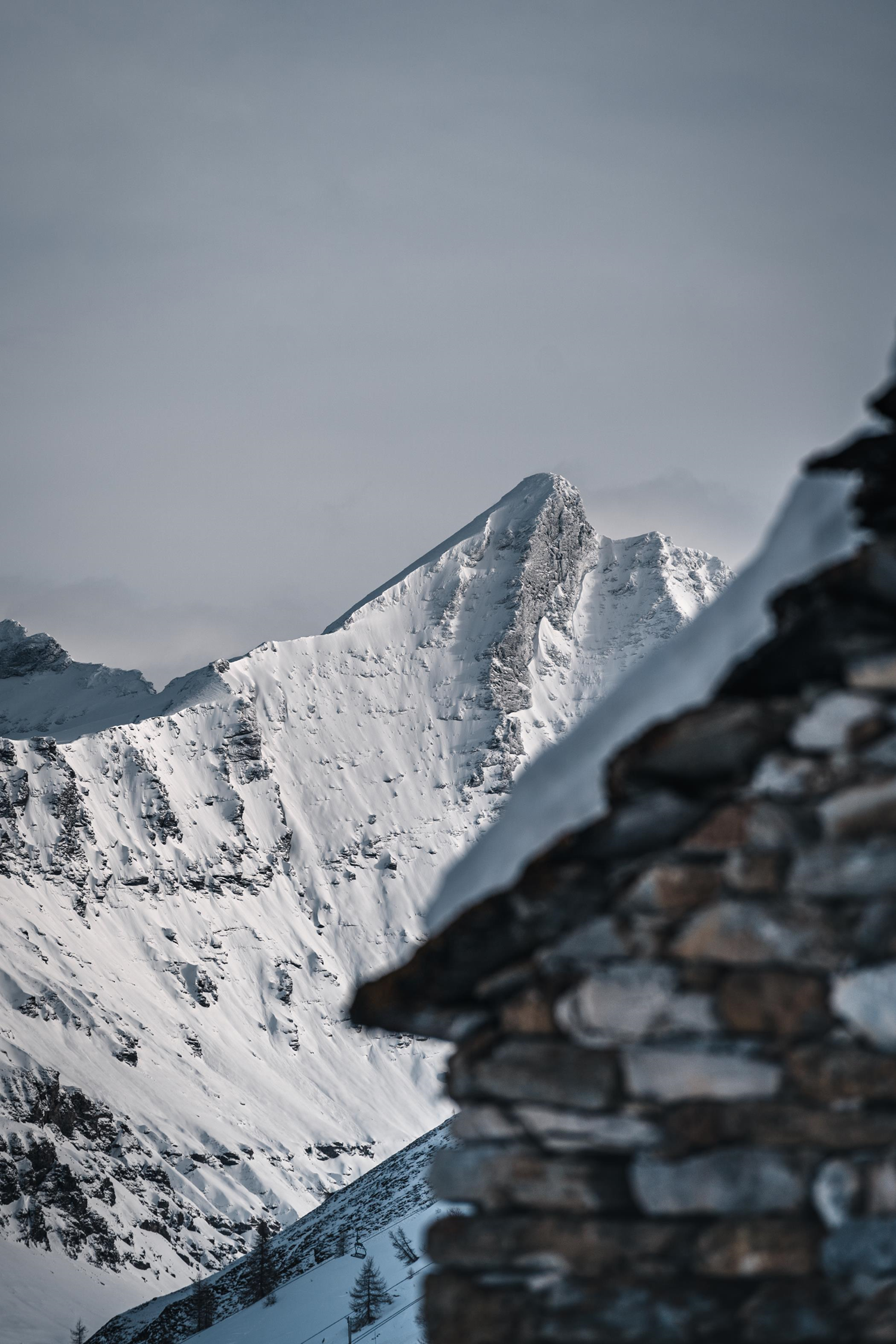 skis