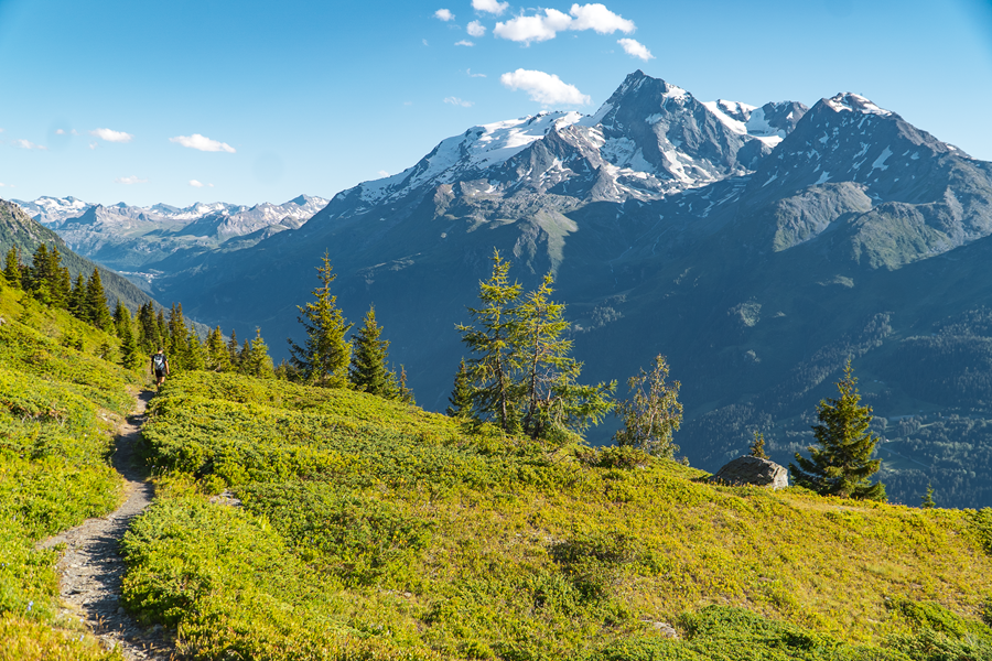 SUMMER IN LA ROSIÈRE