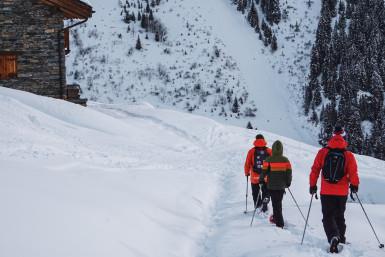 SNOWSHOES
