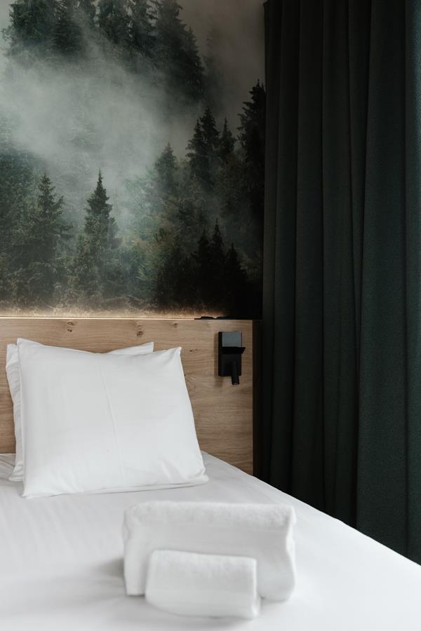 1 double bed (180 x 200) with a TV and an adjoining shower room with a toilet