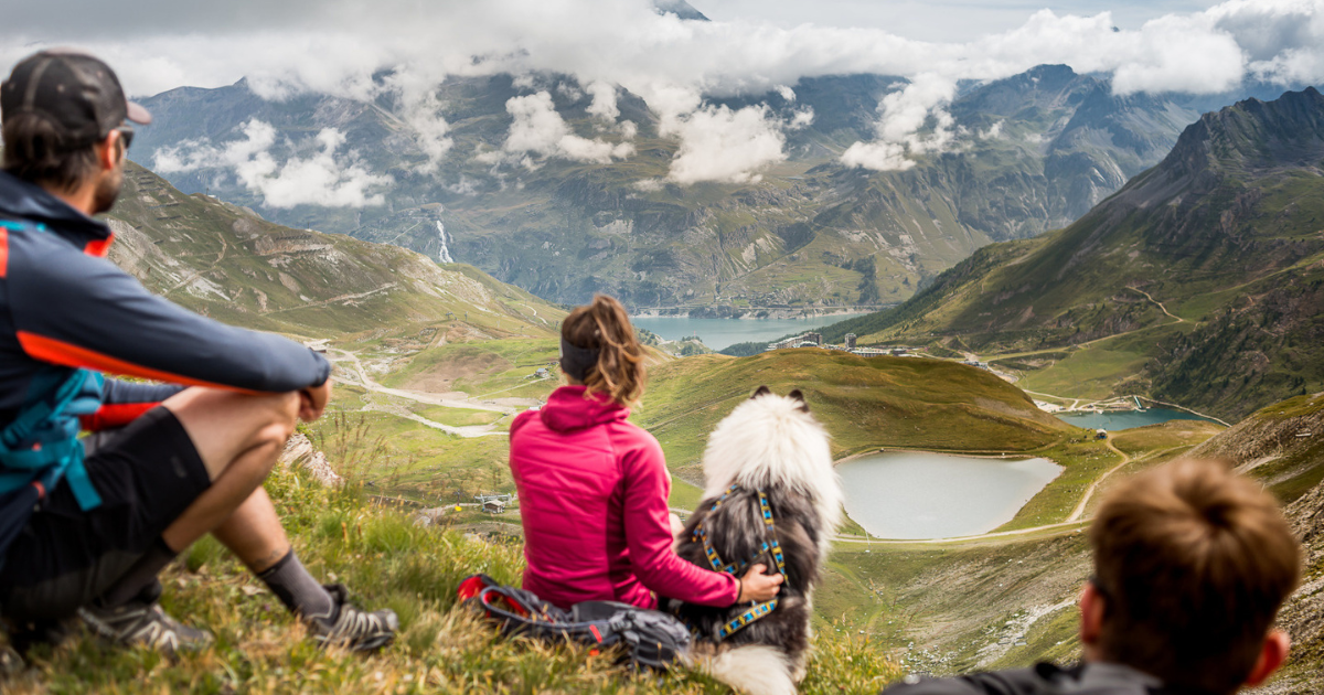 Traveling to the mountains with a pet